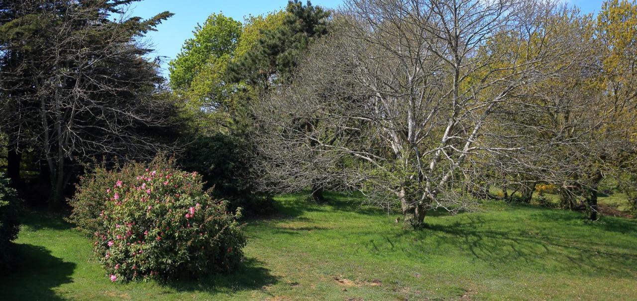 Aux Arbres Chanteurs Ploulech Exterior photo